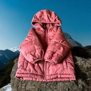 Old Navy Kids Long Sleeves Water Resistant Puffer Hoodie Jacket Rust Size 2T